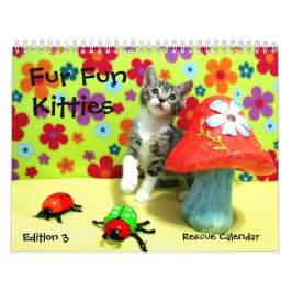 Calendário do Gato de Emergência — Edição 3