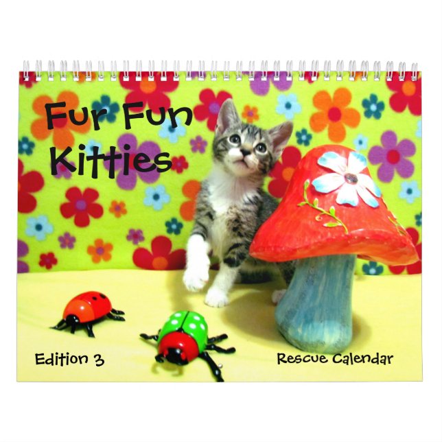 Calendário do Gato de Emergência — Edição 3 (Capa)