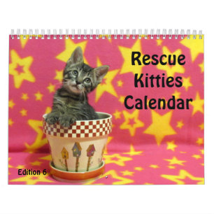 Calendário do Gato de Emergência - Edição 6