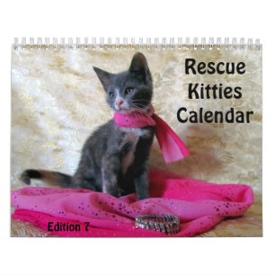 Calendário do Gato de Emergência - Edição 7