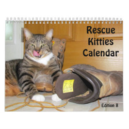 Calendário do Gato de Emergência - Edição 8