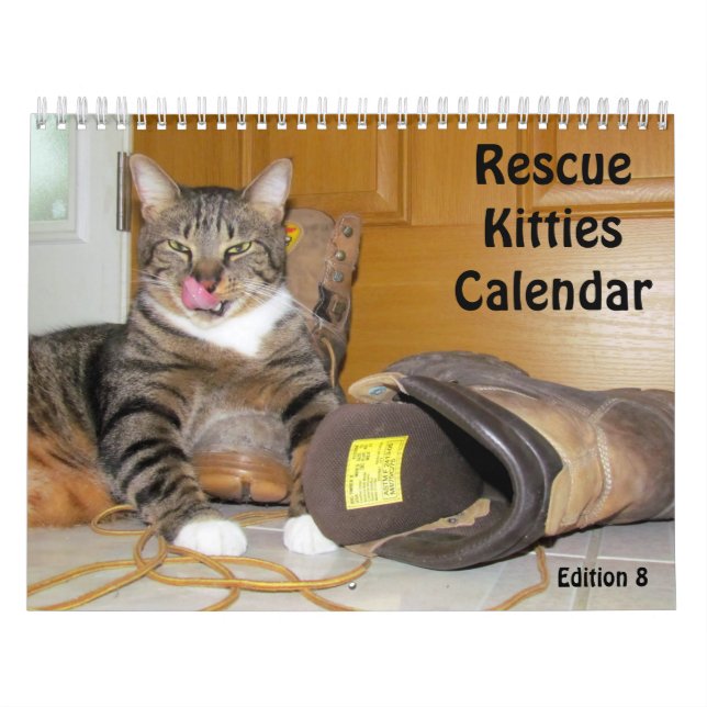 Calendário do Gato de Emergência - Edição 8 (Capa)