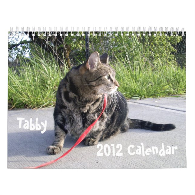 Calendário do gato de gato malhado 2012 (Capa)