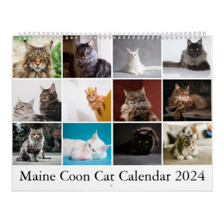 Calendário do Gato do Maine Coon
