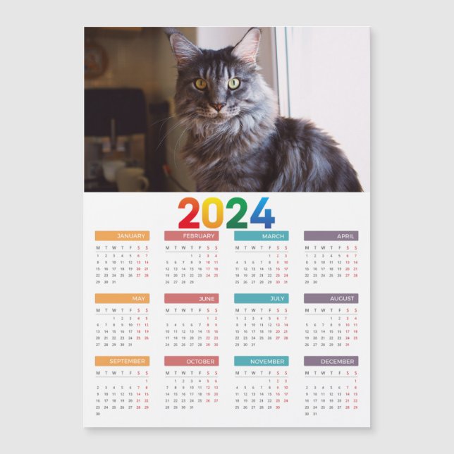 Calendário do Gato do Maine Coon (Frente)