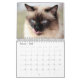 Calendário do gato Siamese (Fev 2025)
