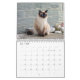 Calendário do gato Siamese (Jul 2025)