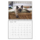 Calendário do gato Siamese (Jan 2025)