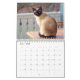 Calendário do gato Siamese (Jun 2025)