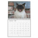 Calendário do gato Siamese (Dez 2025)