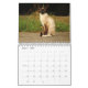 Calendário do gato Siamese (Mar 2025)