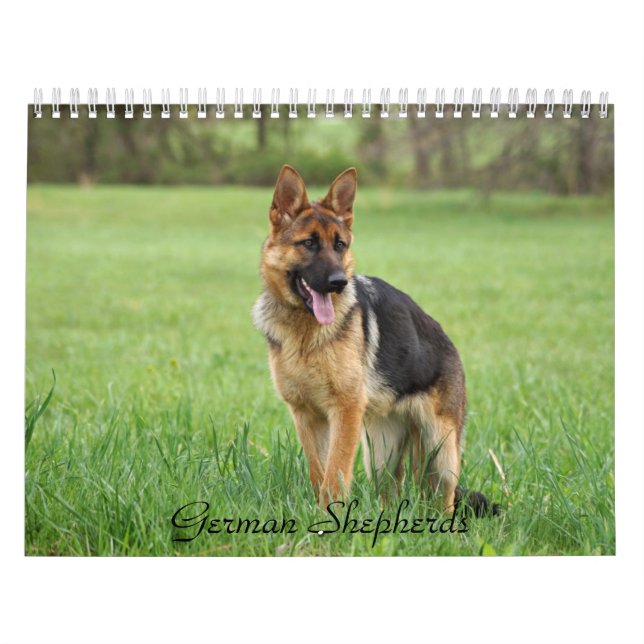 Calendário do german shepherd (Capa)