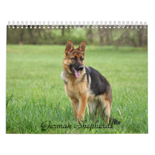 Calendário do german shepherd