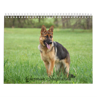 Calendário do german shepherd