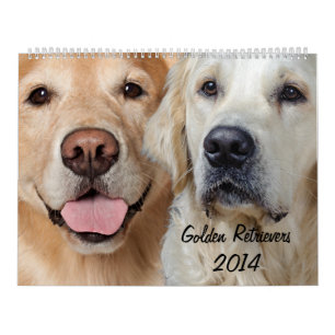 Calendário do golden retriever 2014