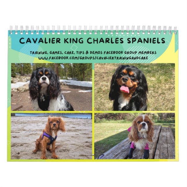 Calendário do Grupo FB Cavalier King Charles Spani (Capa)