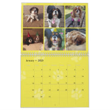 Calendário do Grupo FB Cavalier King Charles Spani