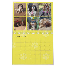 Calendário do Grupo FB Cavalier King Charles Spani