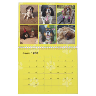 Calendário do Grupo FB Cavalier King Charles Spani
