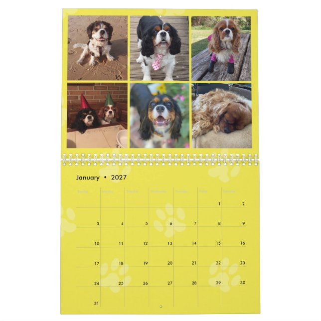 Calendário do Grupo FB Cavalier King Charles Spani (Jan 2027)