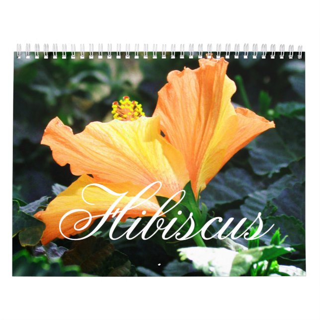 Calendário do hibiscus (Capa)