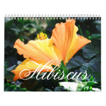 Calendário do hibiscus