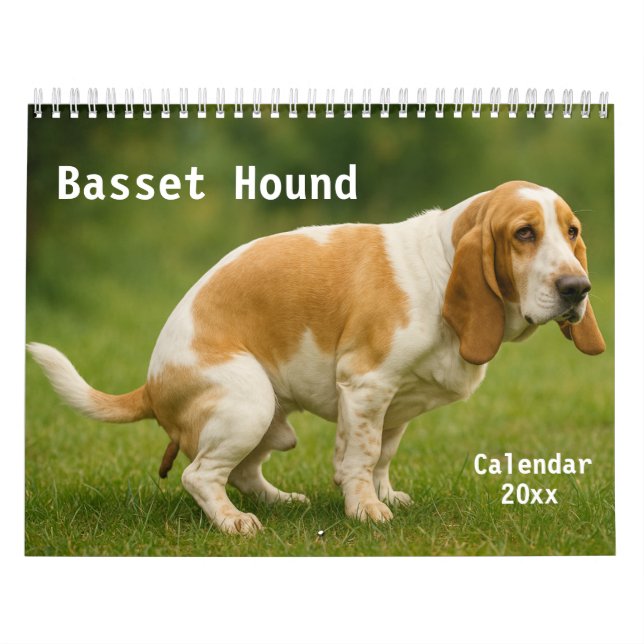 Calendário do Hound Basset 2026 (Capa)