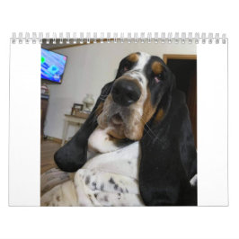 Calendário do Hound de Basset