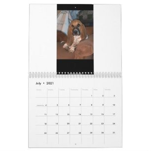 Calendário do Hound de Basset