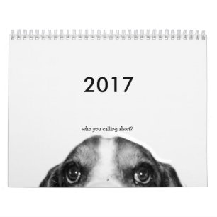Calendário do Hound do Conjunto Base 2017