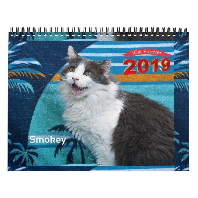 Calendário do iCat Forever 2019 (Capa)