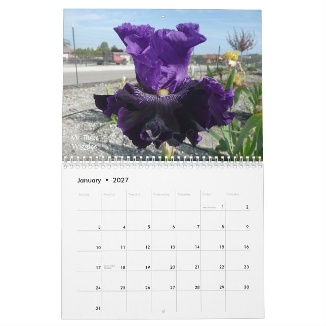 CALENDÁRIO DO JARDIM 2012 DA ÍRIS (Jan 2027)