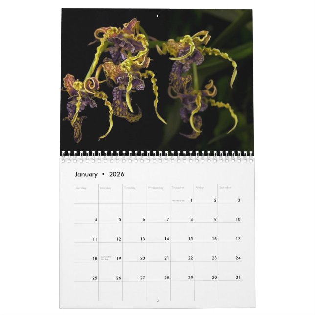 Calendário do jardim 2013 de Dave (Jan 2026)