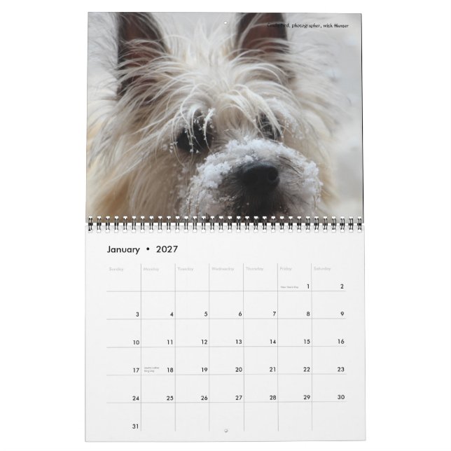 Calendário do jardim 2016 de Dave (Jan 2027)