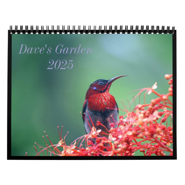 Calendário do Jardim 2025 do Dave (Capa)