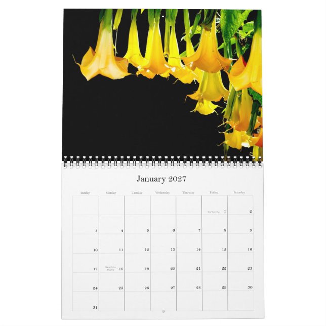 Calendário do Jardim do Dave de 2012 (Jan 2027)
