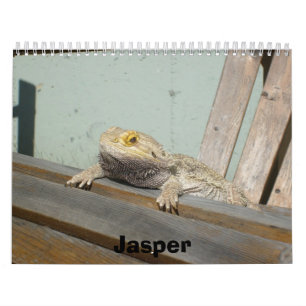 Calendário do jaspe 2009