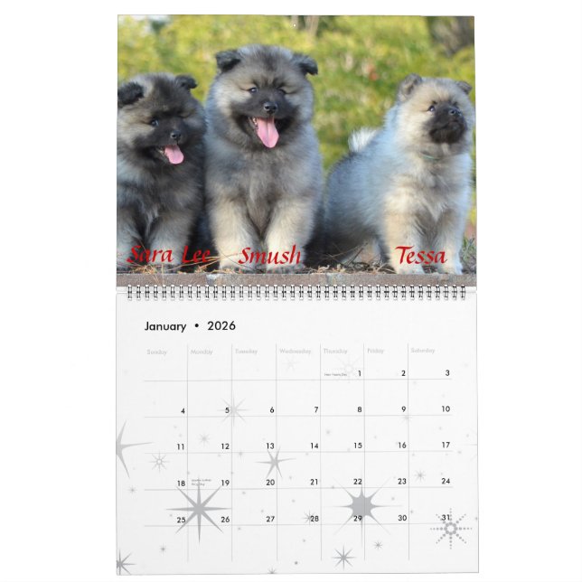 Calendário do Keeshond da trombeta (Jan 2026)