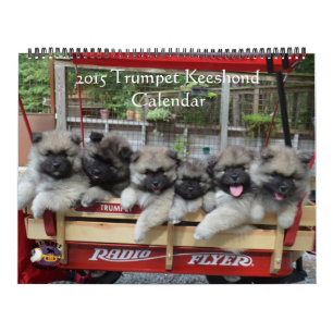 Calendário do Keeshond da trombeta