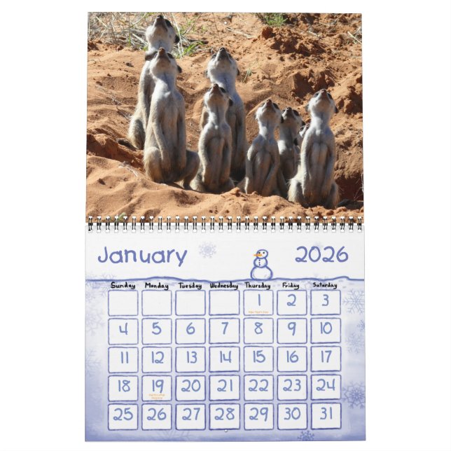 Calendário do KMP Meerkats 2011 (Jan 2026)