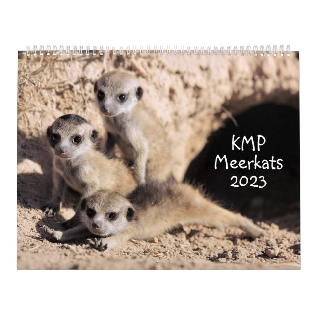 Calendário do KMP Meerkats 2023 (Capa)