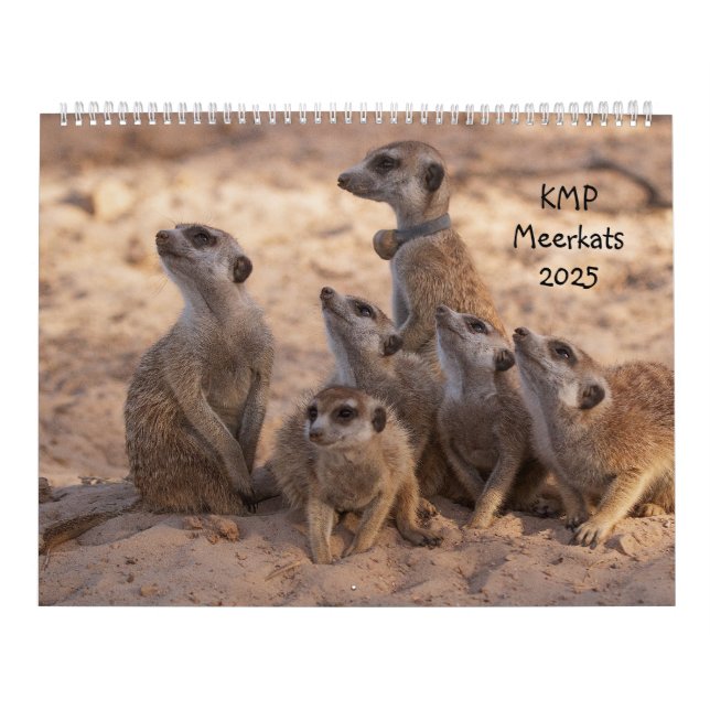 Calendário do KMP Meerkats 2025 (Capa)