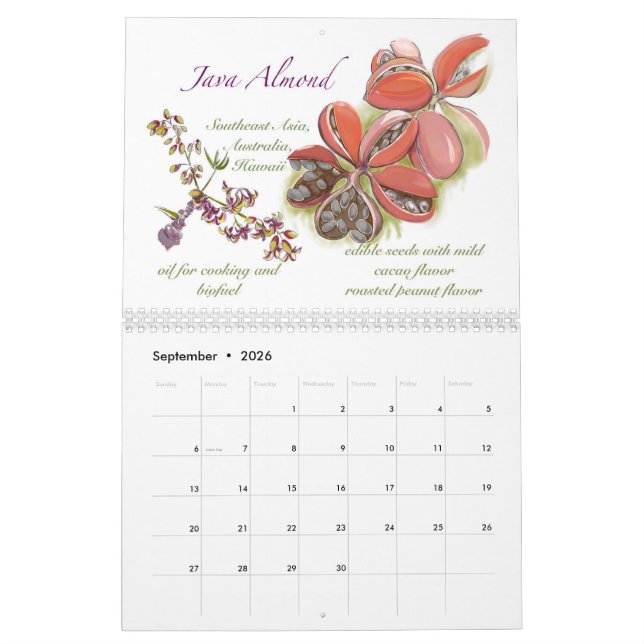 Calendário do Kwaj 2025 (Set 2026)