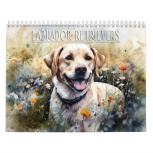 Calendário do Labrador Retriever, calendário para