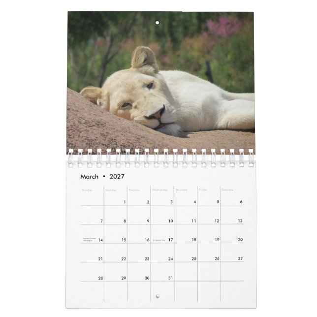 Calendário do Leão (Mar 2027)