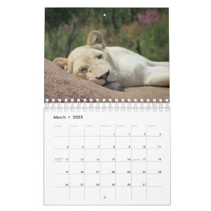 Calendário do Leão