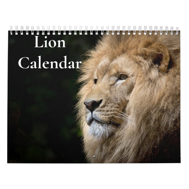 Calendário do Leão 2027 (Capa)