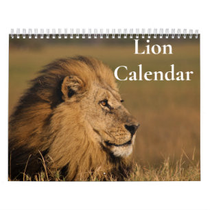 Calendário do Leão 2027