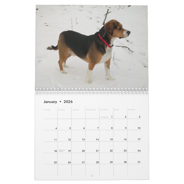 Calendário do lebreiro de 12 meses - que cão! (Jan 2026)