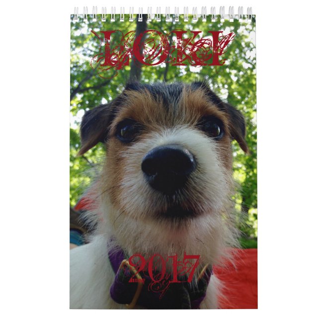 Calendário do Loki 2017 (Capa)